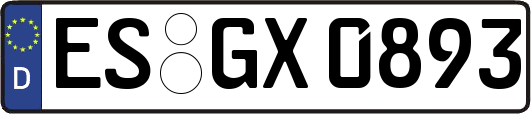 ES-GX0893