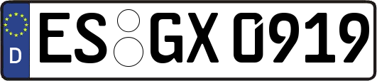 ES-GX0919