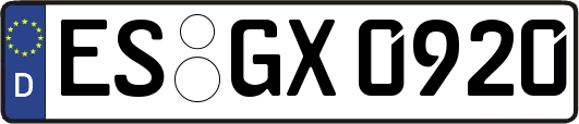 ES-GX0920