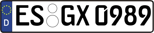 ES-GX0989