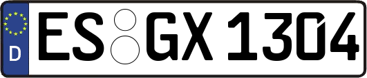 ES-GX1304