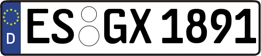 ES-GX1891