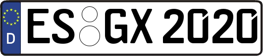 ES-GX2020