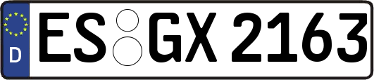 ES-GX2163