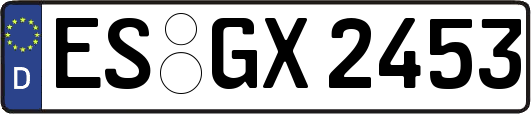 ES-GX2453