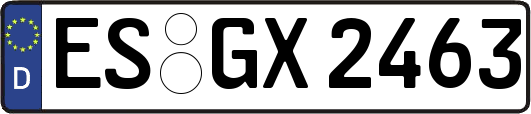 ES-GX2463