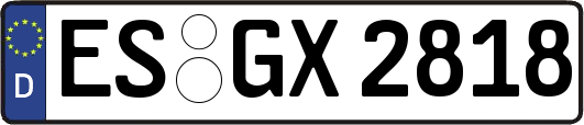 ES-GX2818