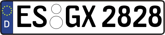 ES-GX2828