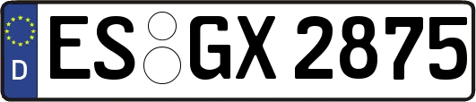 ES-GX2875