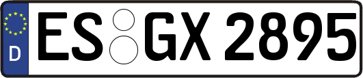 ES-GX2895