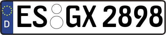 ES-GX2898