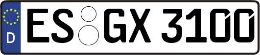 ES-GX3100