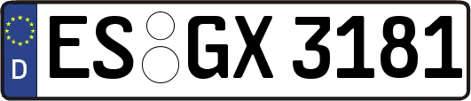 ES-GX3181
