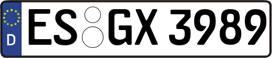 ES-GX3989