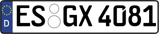 ES-GX4081
