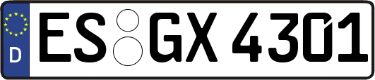 ES-GX4301