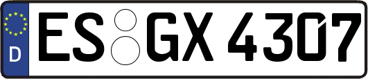ES-GX4307