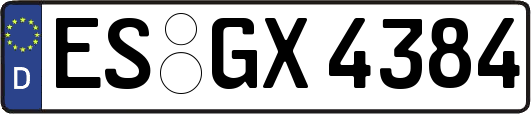 ES-GX4384