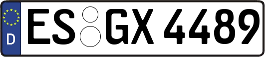 ES-GX4489