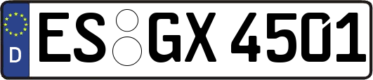 ES-GX4501