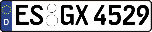 ES-GX4529