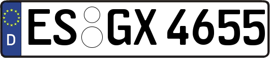 ES-GX4655