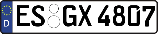 ES-GX4807