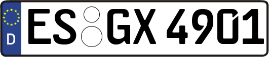 ES-GX4901