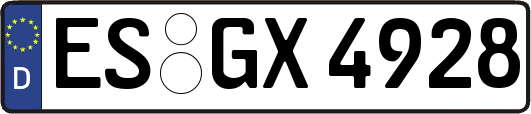 ES-GX4928
