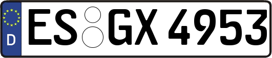 ES-GX4953