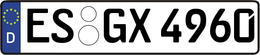 ES-GX4960