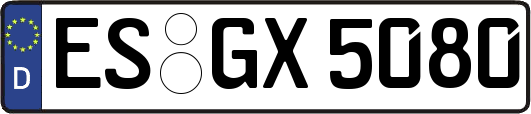 ES-GX5080