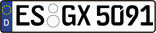 ES-GX5091