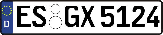 ES-GX5124