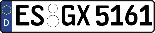ES-GX5161