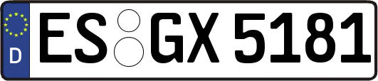 ES-GX5181