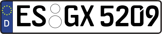 ES-GX5209