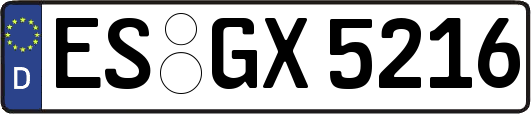 ES-GX5216