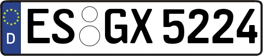ES-GX5224