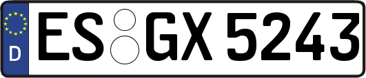 ES-GX5243