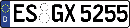 ES-GX5255