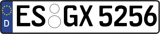 ES-GX5256