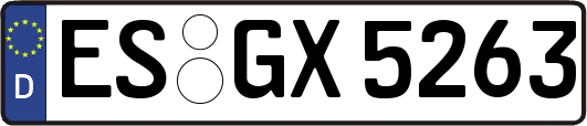 ES-GX5263