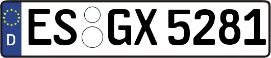 ES-GX5281