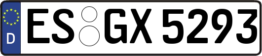 ES-GX5293