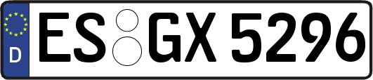 ES-GX5296