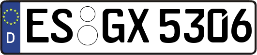 ES-GX5306