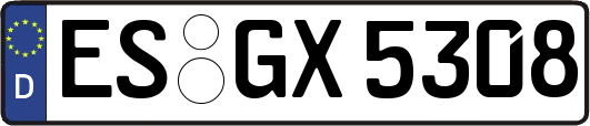 ES-GX5308