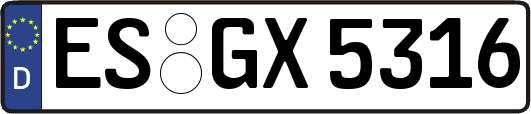 ES-GX5316