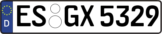 ES-GX5329